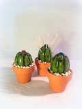 cactus porte cure dents