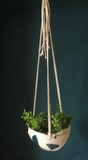 Pots à suspendre